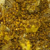 Mandi meal meat 