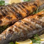 Seabass Fish