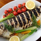 Kilo Seabass Fish