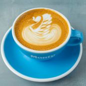 Hot Flat White