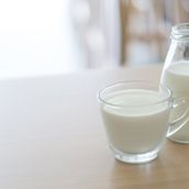 Plian Fresh Milk