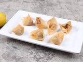 Chicken Wonton