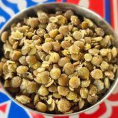 Lentil