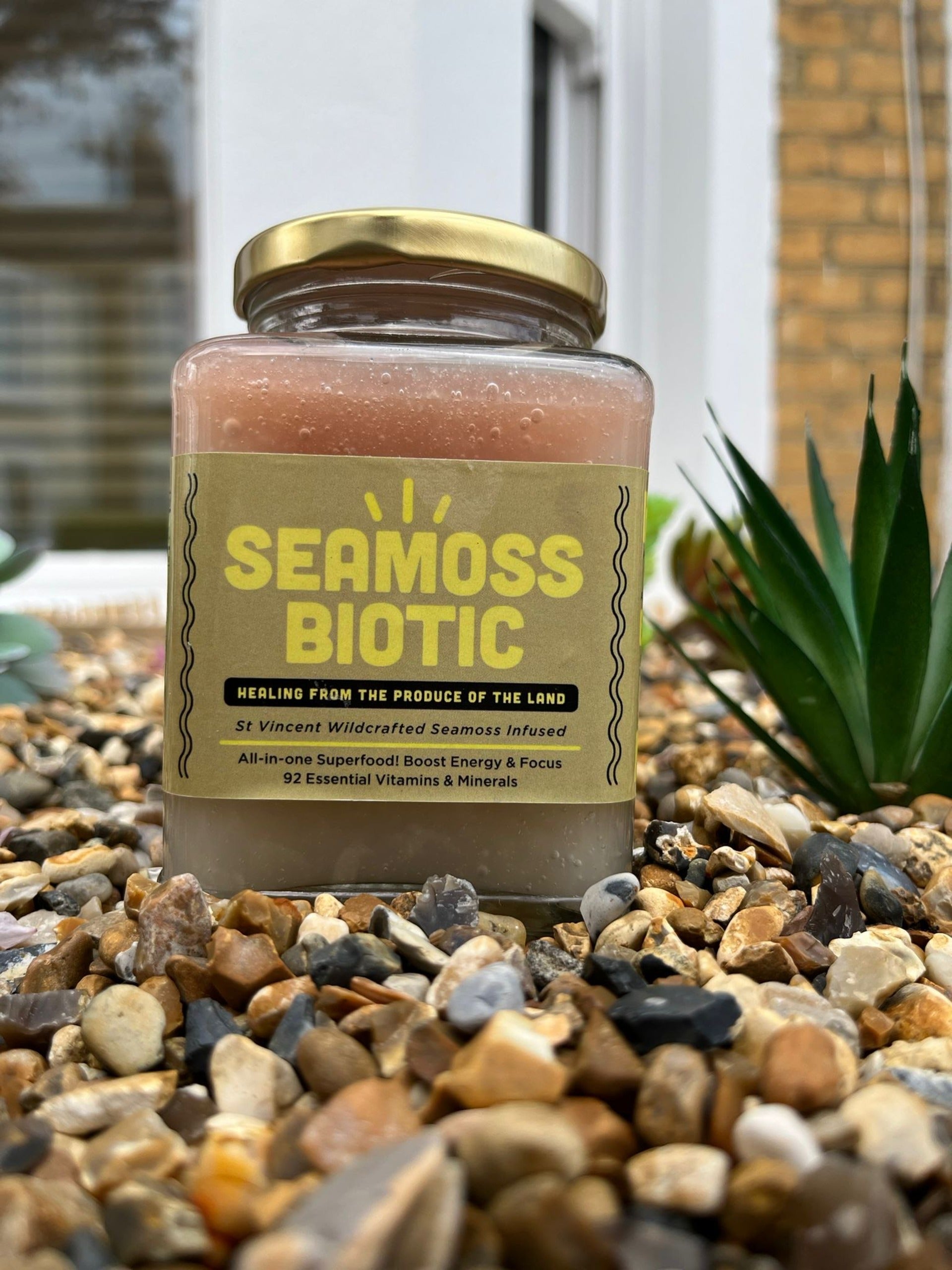 Seamoss Biotic