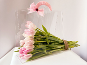 Acrylic Bag Pink Tulip