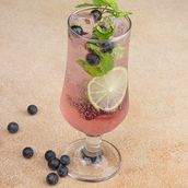 Blueberry Mohito 