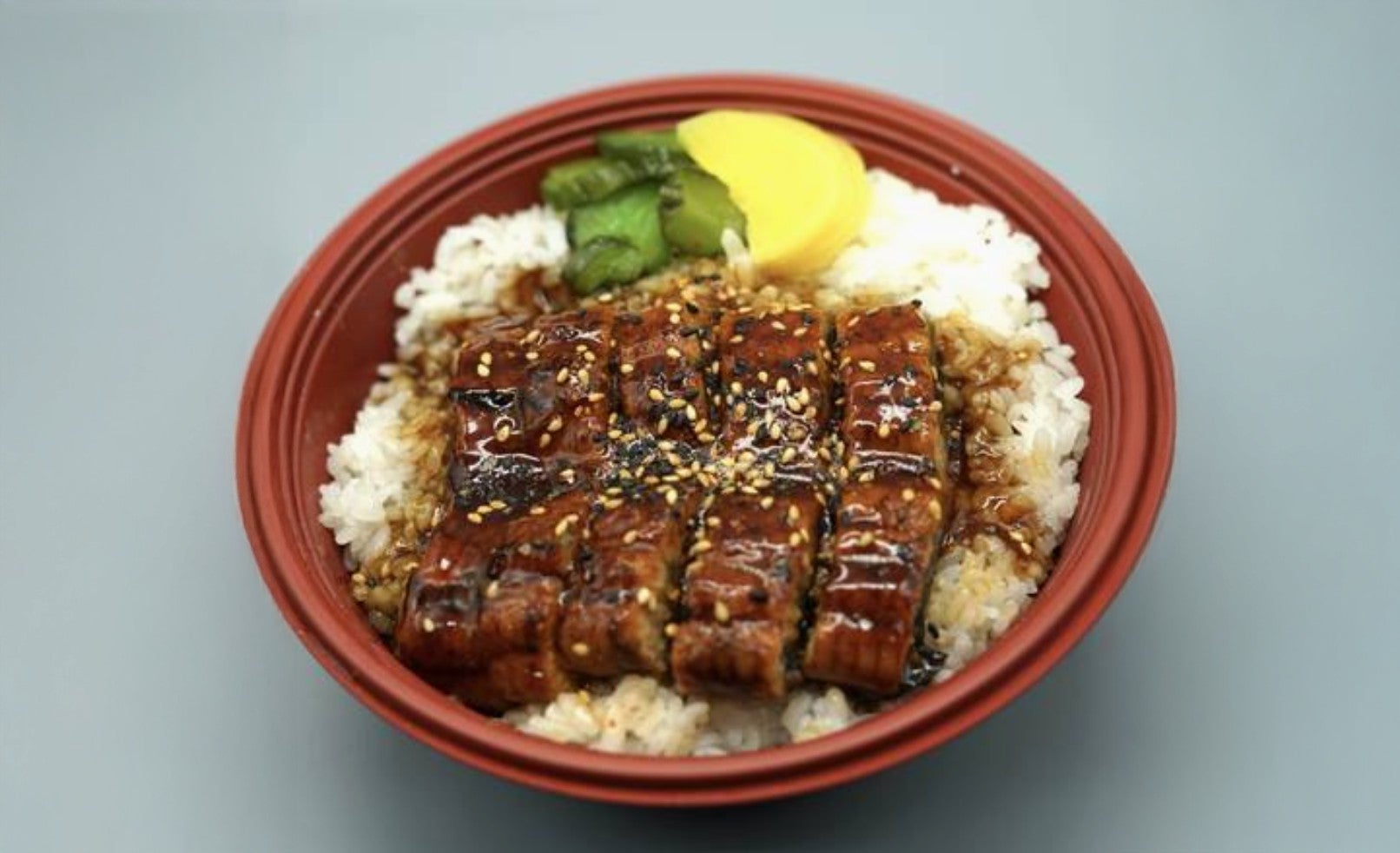 Unagi Don Eel