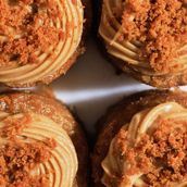 Cake bites Lotus