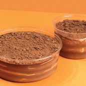 Chocolate Trifle