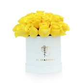 Small White Box of Yellow Roses