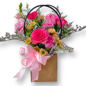 Girly Babies Bag