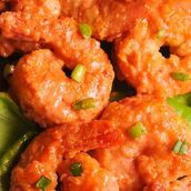 Dynamate Shrimp