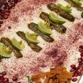 Large Fatteh 