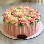 Rossettes Cake