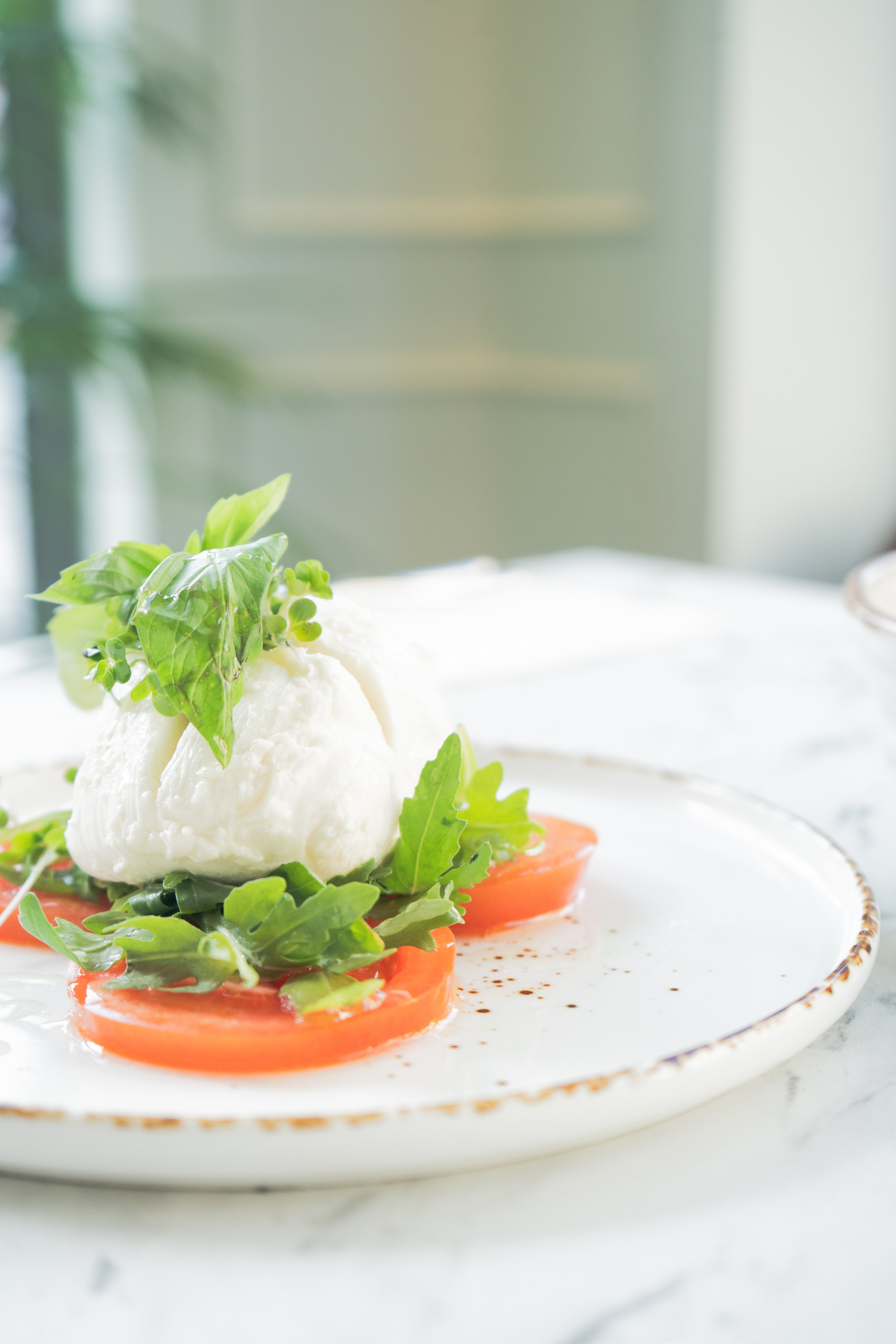 Buffalo Mozzarella Starter