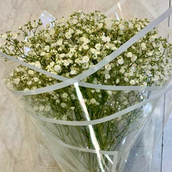 Hand Bouquet Gebso