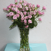 Purple Baby Roses Vase