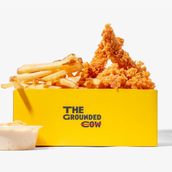 Tender Box & Fries