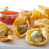 Chicken Fried Wonton