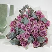 24 Purple Roses