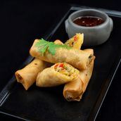 Vegetable Spring Roll                 