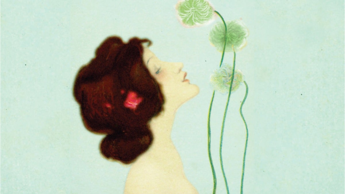 French Peppermint postcard tea 50gr