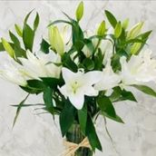 Casablanca White