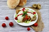 Falafel Alkhair Plate 