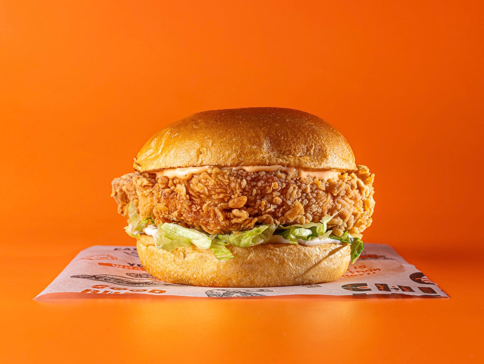 Crunchy Fillet Burger