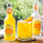 Fentimans Mandarin And Sevile Orange