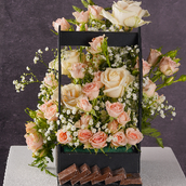 Vera Chocolates 6671