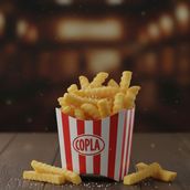 Addons Fries