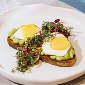 Avocado Smashed Toast