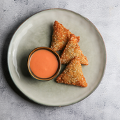 Shrimp Samosa