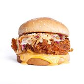 Spical Chicken ( Moderately Spicy )