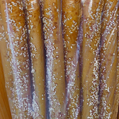 Egyptian Kaak