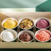 Hallab Box (6 Scoops)