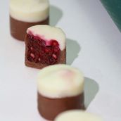 Berry Bites
