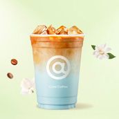 Pampas Crema Jasmine Latte coffee Cold