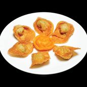FRIED CHICKEN WONTON