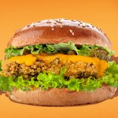 Classic Chicken Burger