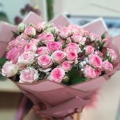Garden Baby Roses 2