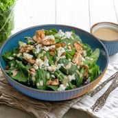 Green Salad Italian Style