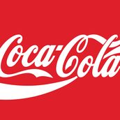 Coke Bottle (500ml)