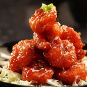Revolution Shrimps