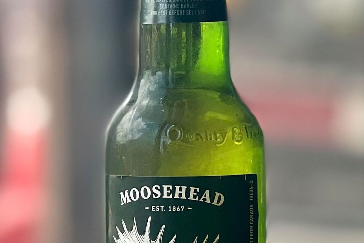 Moosehead Lager
