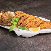 Hamour Fish