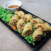Chicken Spring Roll
