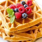 Protein Waffles