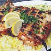 Fresh Farroj 